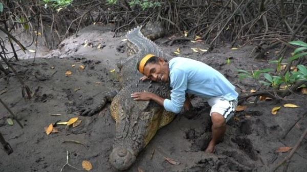 Индонезийский рыбак четверть века дружит с 4-метровым крокодилом (3 фото + 2 видео)