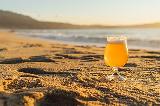 Врач Малышева назвала опасность распития алкоголя на пляже